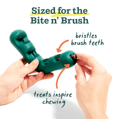 Woof Bite n' Brush Refills Dog Toy (8 oz)