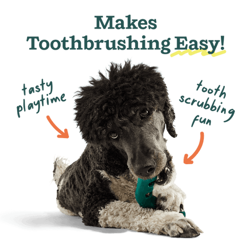 Woof Bite n' Brush Refills Dog Toy (8 oz)