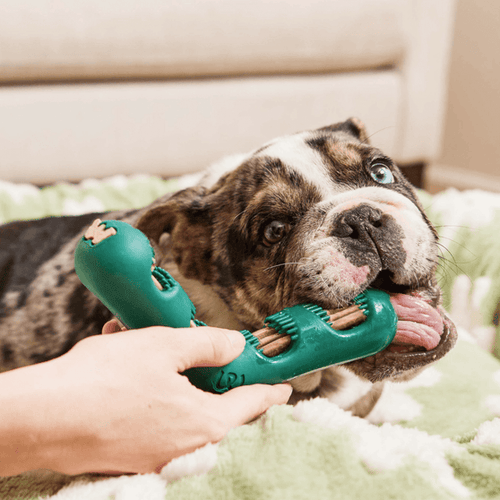Woof Bite n' Brush Refills Dog Toy (8 oz)