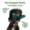 Woof The Bite n' Brush Dog Toy (Large)