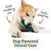 Woof The Bite n' Brush Dog Toy (Large)