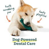 Woof The Bite n' Brush Dog Toy (Large)