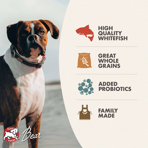 Fromm Classic Adult Whitefish & Rice Recipe Dry Dog Food (15 LB)