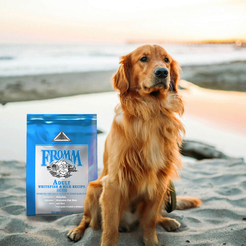 Fromm Classic Adult Whitefish & Rice Recipe Dry Dog Food (15 LB)