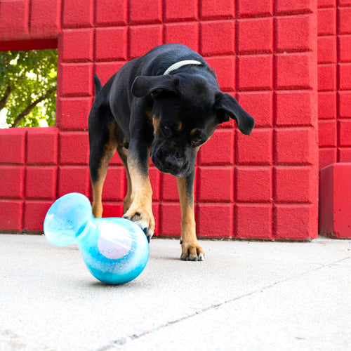 KONG Rewards Tipsy Dog Toy (Large)