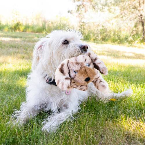 KONG Toughz Pup Dog Toy (Medium)
