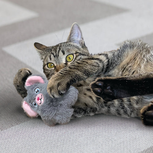 KONG Cat Snuzzles Mouse Cat Toy (One Size)