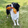 KONG Wubba Ballistic High-Viz Dog Toy (Large)