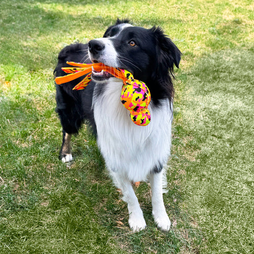 KONG Wubba Ballistic High-Viz Dog Toy (Large)