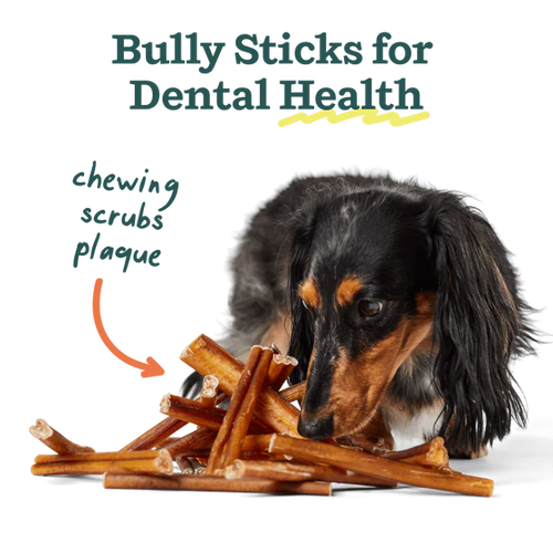 Woof The BullySafe Chew Stick (12)