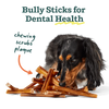 Woof The BullySafe Chew Stick (6)