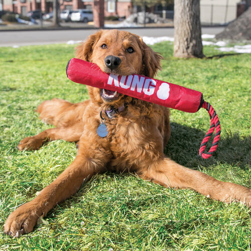 KONG Signature Stick w/Rope Dog Toy (Medium)