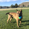 KONG Twistz High-Viz Ball Dog Toy (Large)