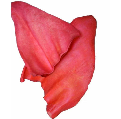 Nature's Own Cow Ear Apple Cinnamon Flavor Dog Treat (Lg - 50/case)