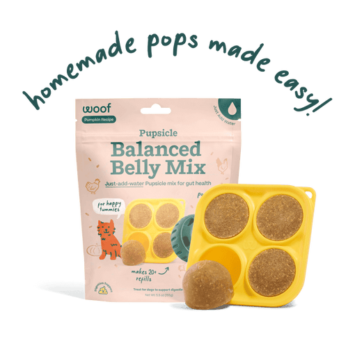 Woof Balanced Belly Pupsicle Mix (5.5 oz)