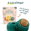 Woof Balanced Belly Pupsicle Mix (5.5 oz)