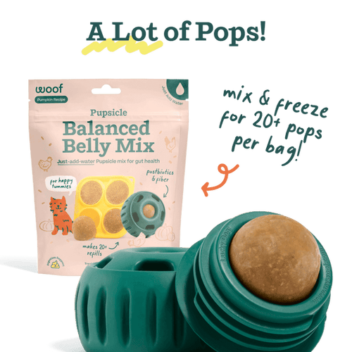 Woof Balanced Belly Pupsicle Mix (5.5 oz)