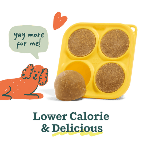 Woof Balanced Belly Pupsicle Mix (5.5 oz)