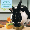 Oxbow Animal Health Enriched Life – Timothy Star Dish (Star Dish)