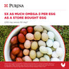 Purina® Layena®+ Omega-3 Chicken Feed Pellets (10 lb)