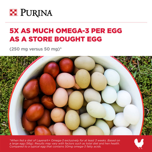 Purina® Layena®+ Omega-3 Chicken Feed Pellets (10 lb)