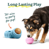 Woof Birthday Pops (Small)