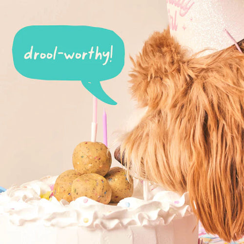 Woof Birthday Pops (Small)