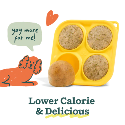 Woof Bacon & Cheese Pupsicle Mix (5.5 oz)