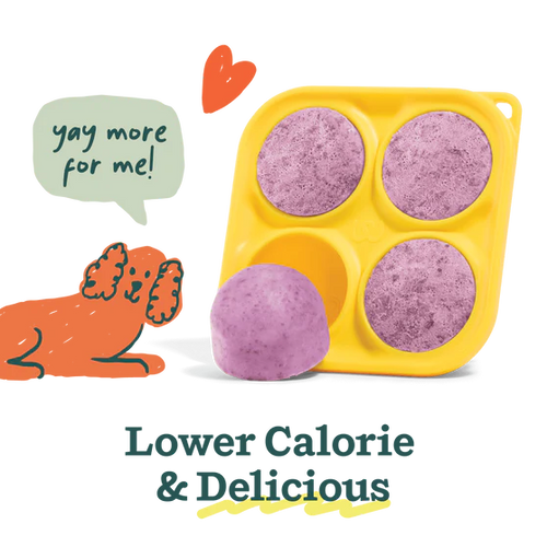 Woof Calming Pupsicle Mix (5.5 oz)