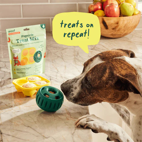 Woof Calming Pupsicle Mix (5.5 oz)