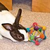 Ware Large Atomic Ball Small Animal Toy (3.5)