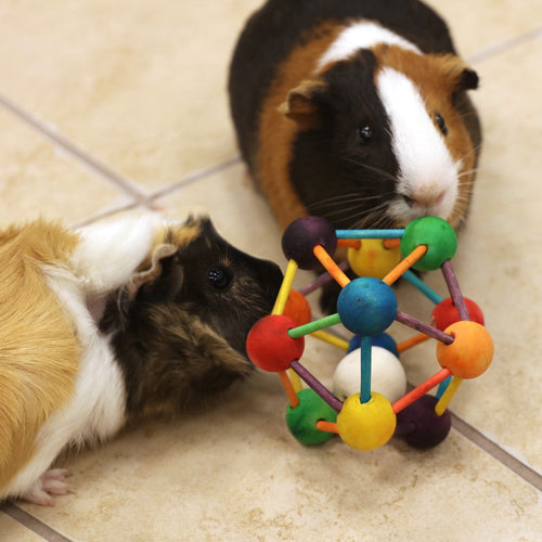 Ware Large Atomic Ball Small Animal Toy (3.5)