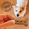Old Mother Hubbard Crunchy Classic Natural BacNCheez Biscuits Dog Treats (Large Biscuits: 53-oz)