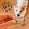 Old Mother Hubbard Crunchy Classic Natural Just Veg'N Biscuits Dog Treats (Small: 3.3-lb)