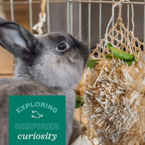 Oxbow Enriched Life – Tumble ‘n Toss for Small Animal
