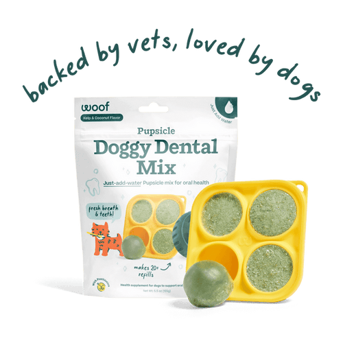 Woof Pupsicle -Doggy Dental Mix