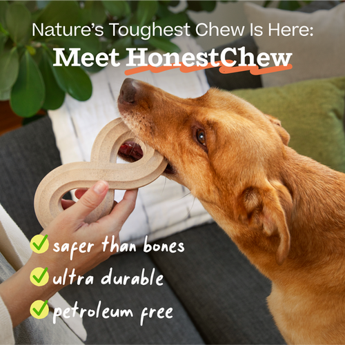 Woof HonestChew -Antler Dog Chew - Medium