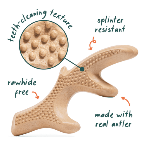 Woof HonestChew -Antler Dog Chew - Medium