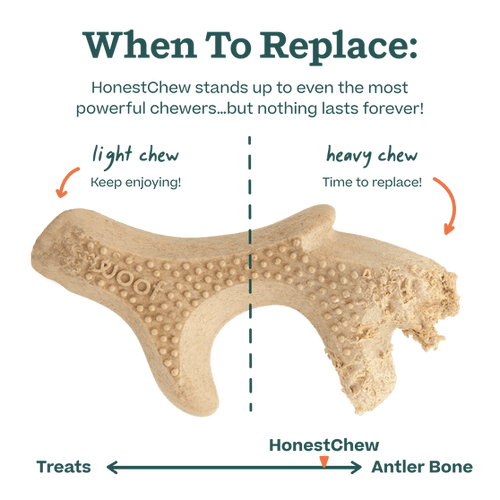 Woof HonestChew -Antler Dog Chew - Medium