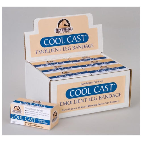 COOL CAST EMOLLIENT LEG BANDAGE (3 INCH X 10 YARD)