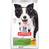 Hill's Science Diet Adult 7+ Senior Vitality Dog Food (21.5 lb)
