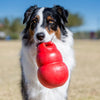 KONG Bounzer™ (Large)