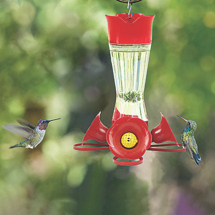 Perky-Pet® Pinch-Waist Glass Hummingbird Feeder - 8 oz Nectar Capacity (8 Oz)