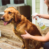 Wondercide Flea & Tick Spray for Pets + Home (CEDARWOOD 16 oz)