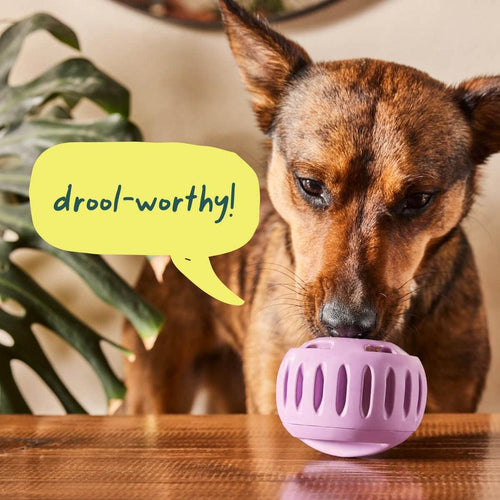 Woof Pupsicle Toy - Lavender - Large 25-75lbs