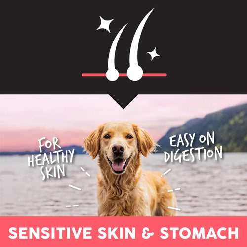 Ultimates Sensitive Skin & Stomach Salmon 28lbs